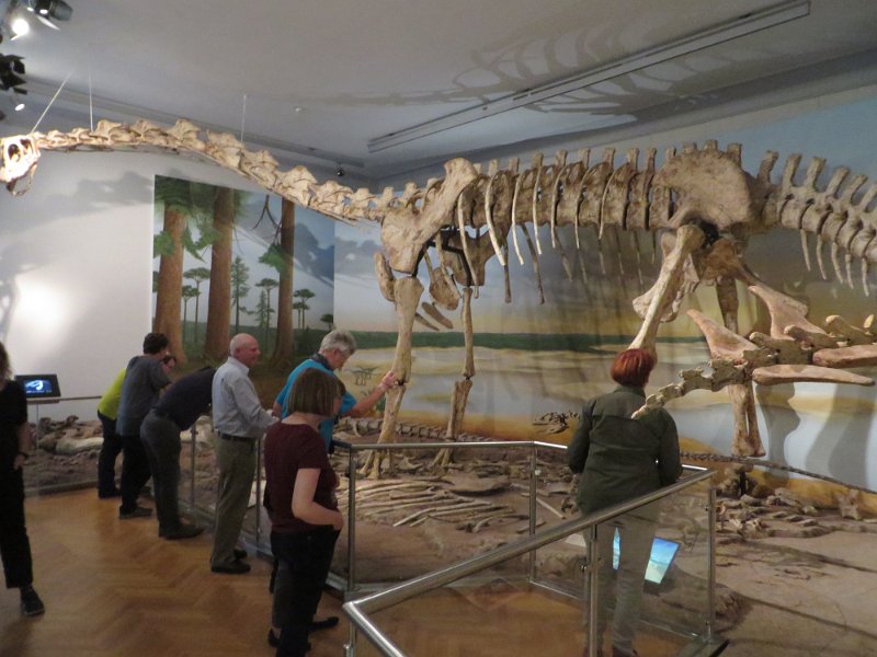 Naturhistorisches Museum  (73)